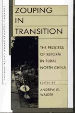 Zouping in Transition